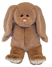 Load image into Gallery viewer, Warm Buddy Plush Animals Assorted
